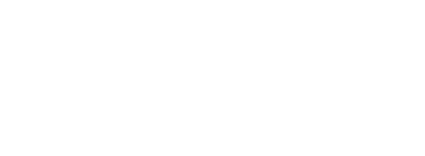 dalsland x logo